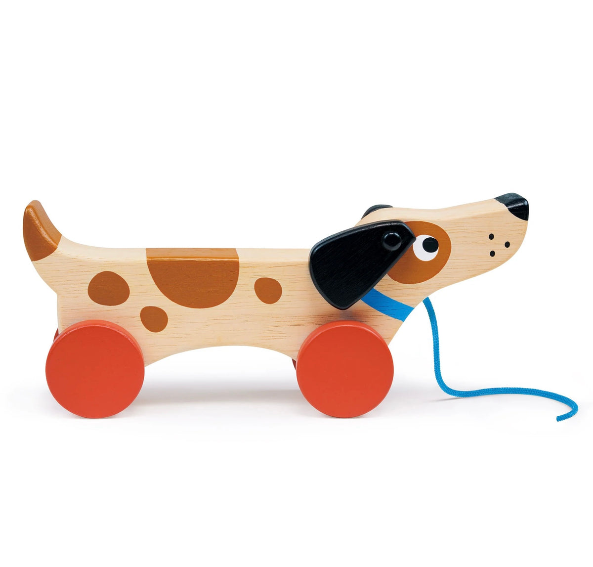 Mentari: Puppy on Wheels