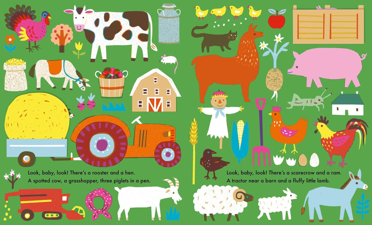 Look Baby Look Book - Outside