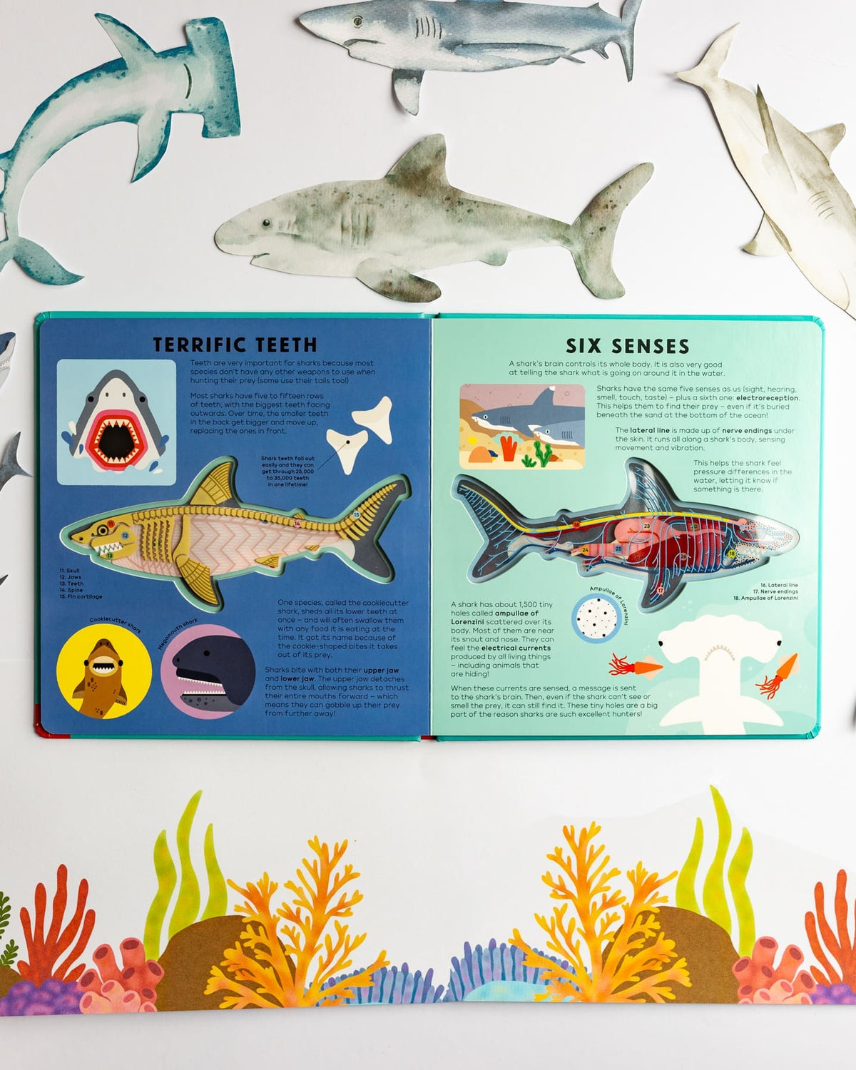 The Shark Book