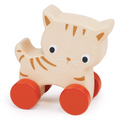 Mentari: Kitten On Wheels