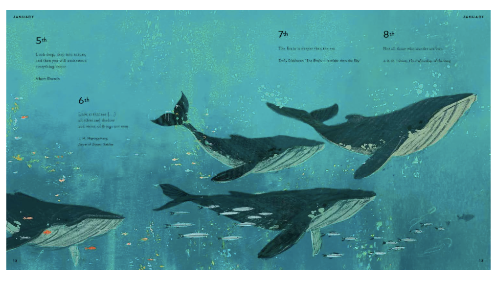 Nosy Crow : Tomorrow Bright Before Us