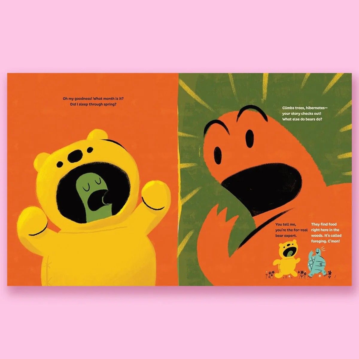 Bearsuit Turtle Books