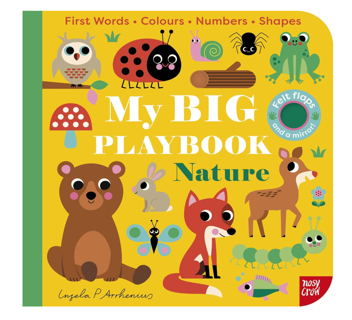 My Big Playbook