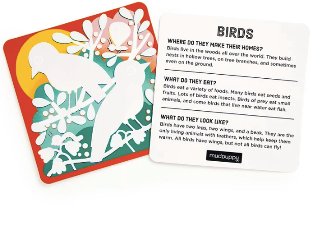 Colour Magic: Woodland Friends