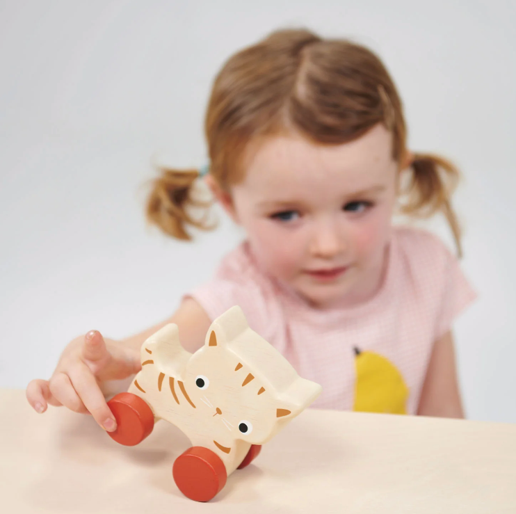 Mentari: Kitten On Wheels
