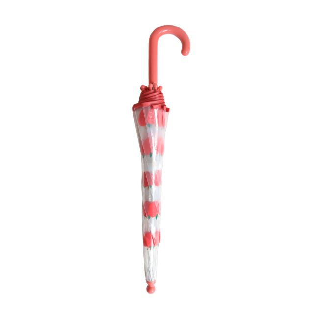 Le Petit Souk: Umbrella