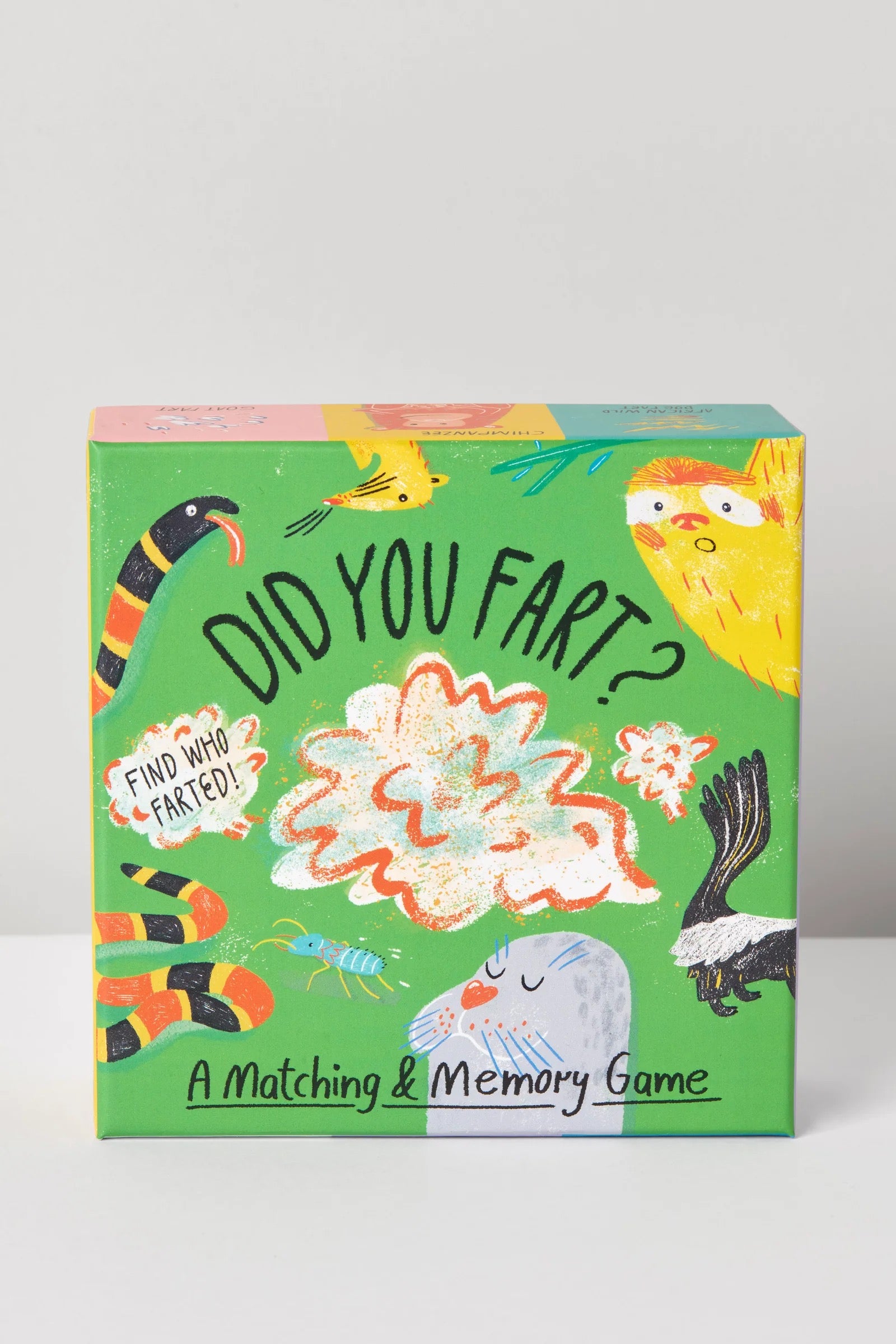 Did You Fart?