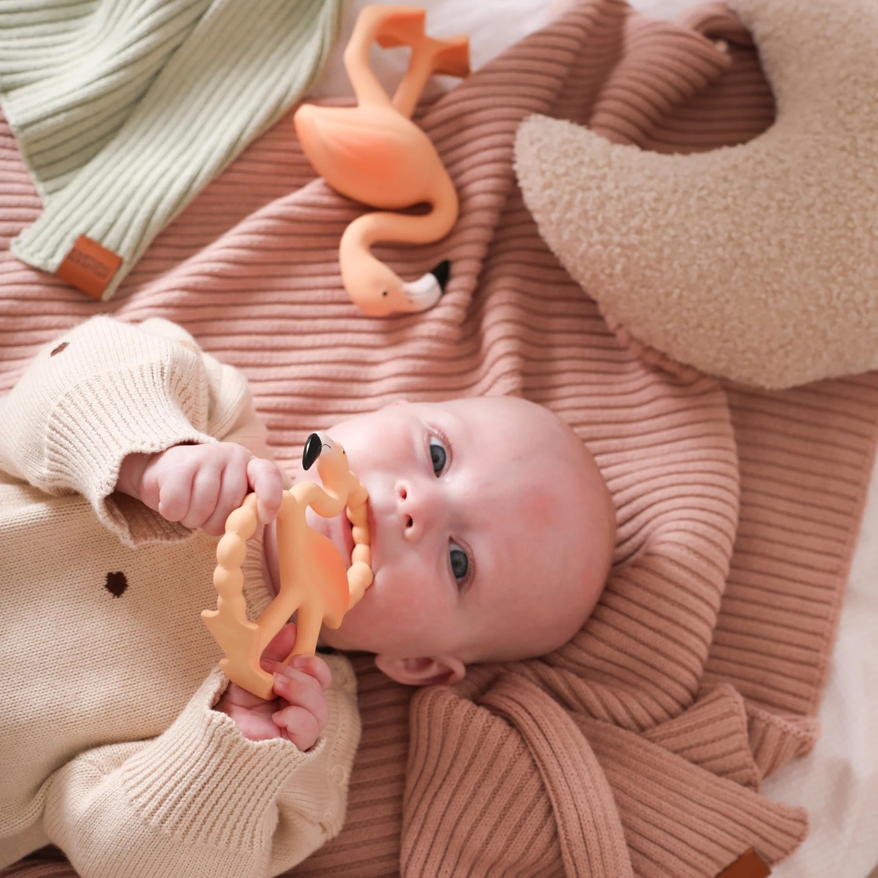 Lingo the Flamingo: Mini Teether
