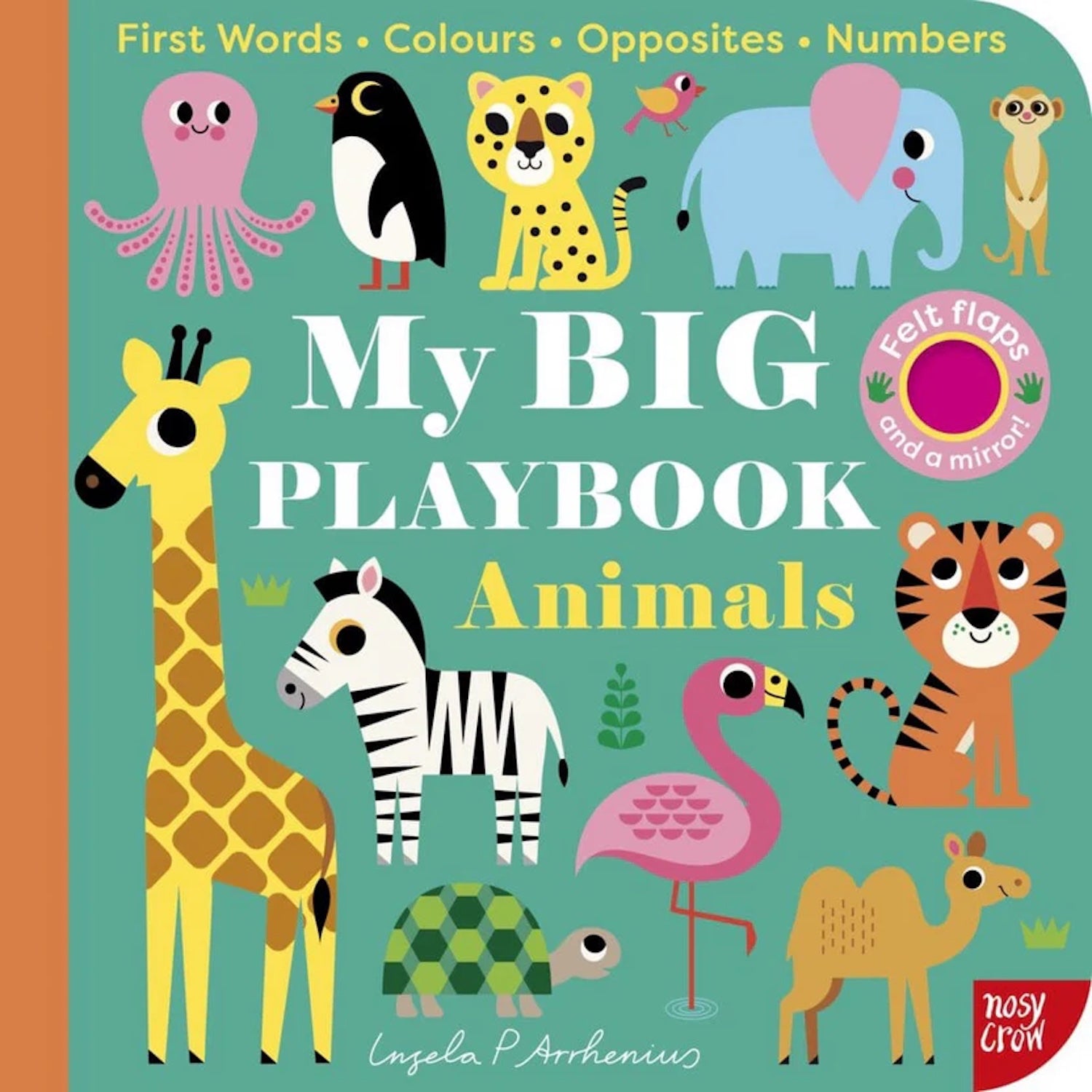 My Big Playbook