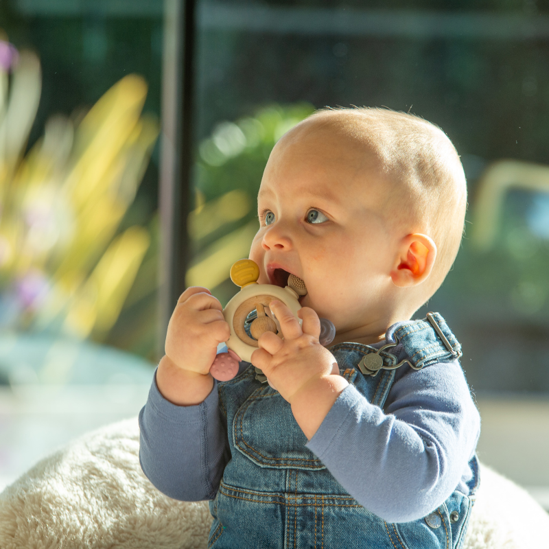 Silisoft Rattle Teether